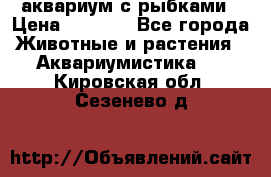 аквариум с рыбками › Цена ­ 1 000 - Все города Животные и растения » Аквариумистика   . Кировская обл.,Сезенево д.